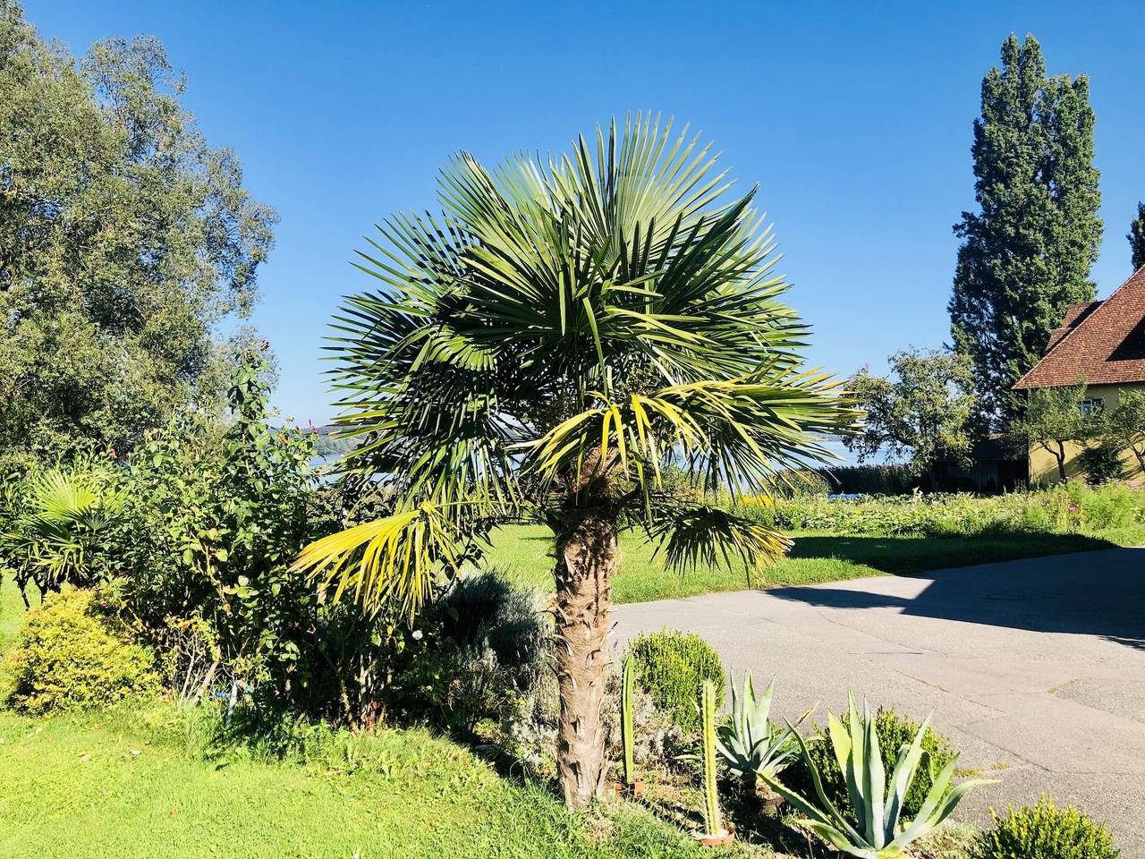 Ganze Ferienwohnung, Ferienwohnungen Inselsteg - Fam. Gräser - Inselnest am Steg, 1-Zimmer-Fewo, Eg, 20 m² in Reichenau, Untersee