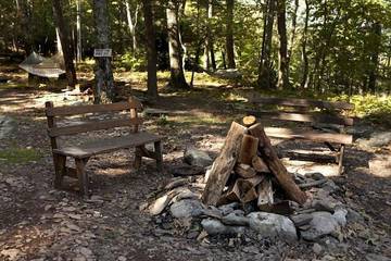 Log Cabin for 15 Guests in Catskill Mountains, Ulster County, Picture 4