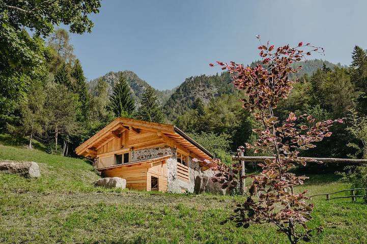 Blockhütte für 6 Personen, mit Garten und Balkon - 1