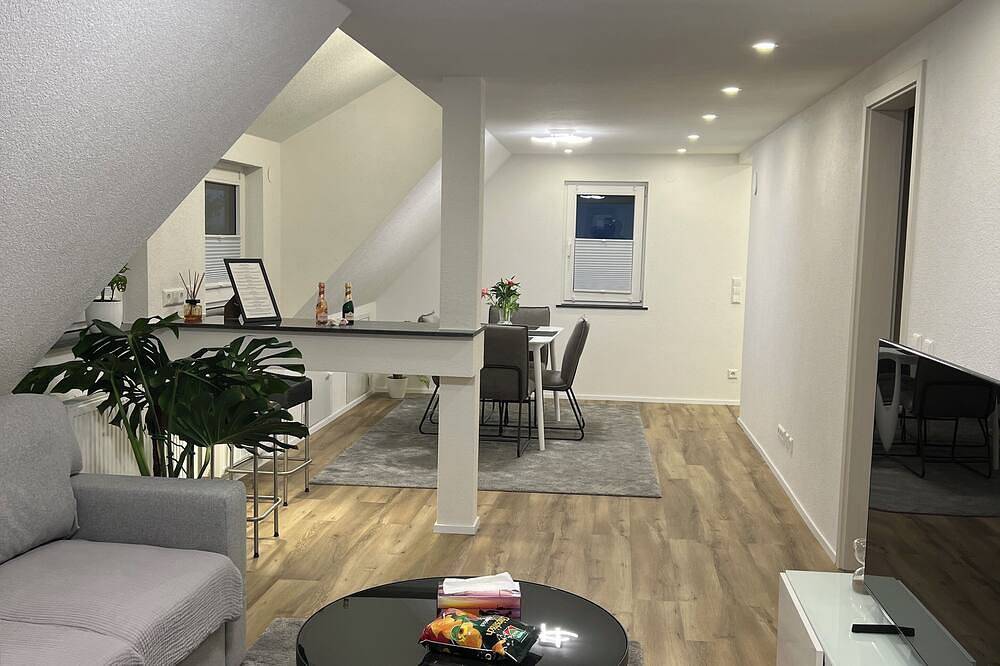 Ganze Wohnung, Stilvolle Wohnung in Horb in Horb am Neckar, Mittlerer Schwarzwald