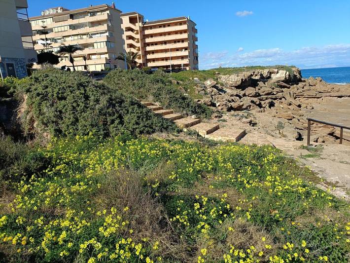 Gîte pour 2 personnes, avec vue à Torrevieja - 3