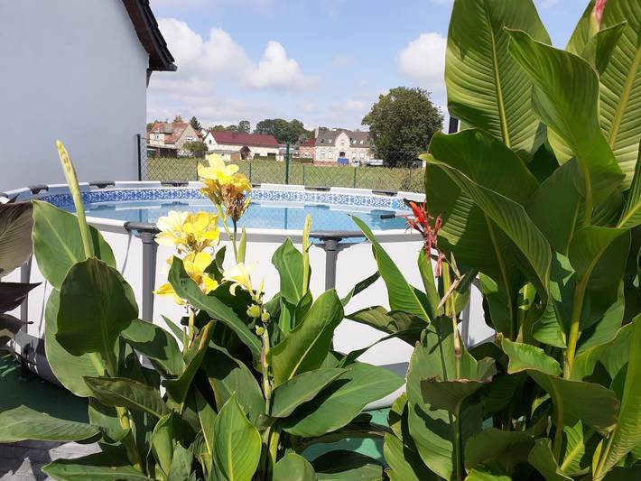 Ferienwohnung für 2 Personen, mit Garten und Pool, kinderfreundlich in Lübbenau - 4