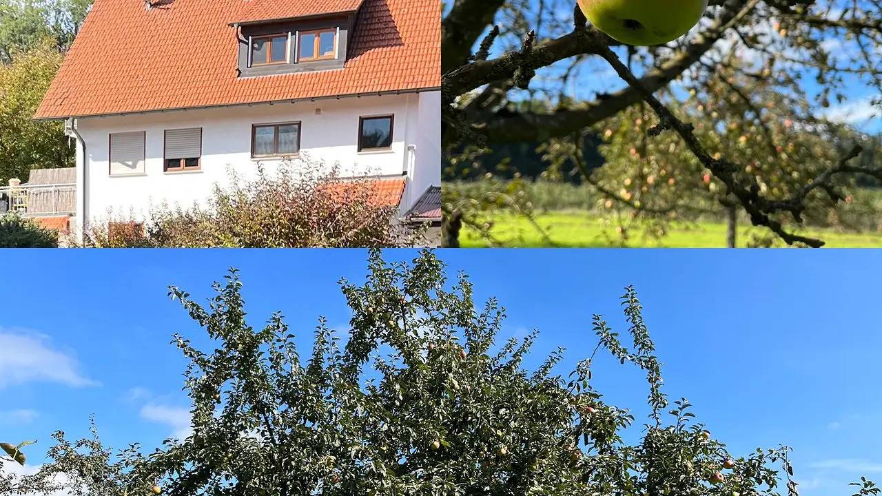 Ganze Ferienwohnung, Ferienwohnung für 4 Personen (70 m²) in Tettnang in Tettnang, Region Bodensee-Oberschwaben