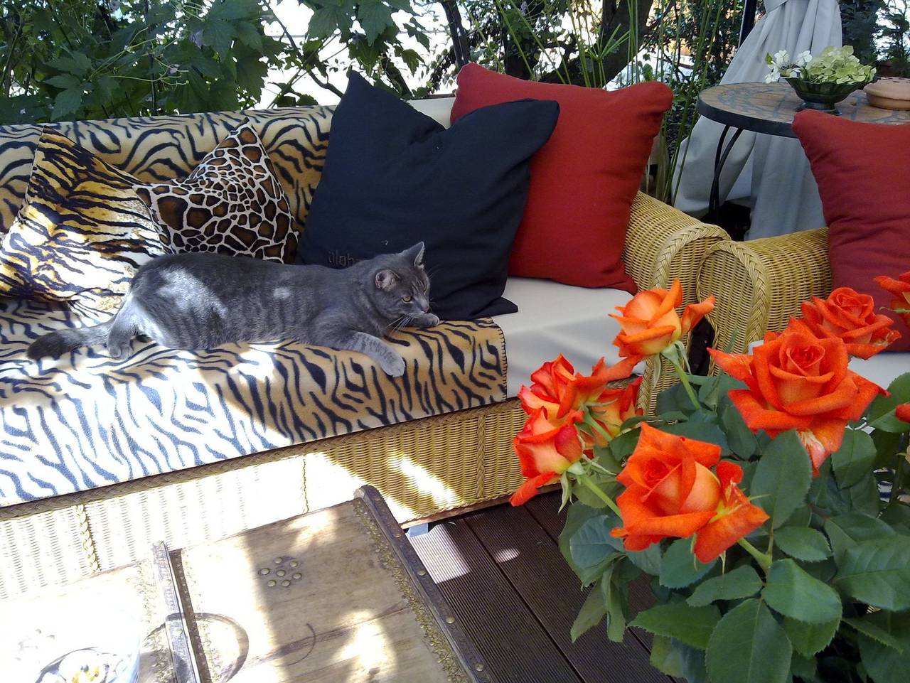 Fischerstüble - Doppelzimmer Balkon Twin mit Dusche und Wc in Hagnau am Bodensee, Region Bodensee-Oberschwaben