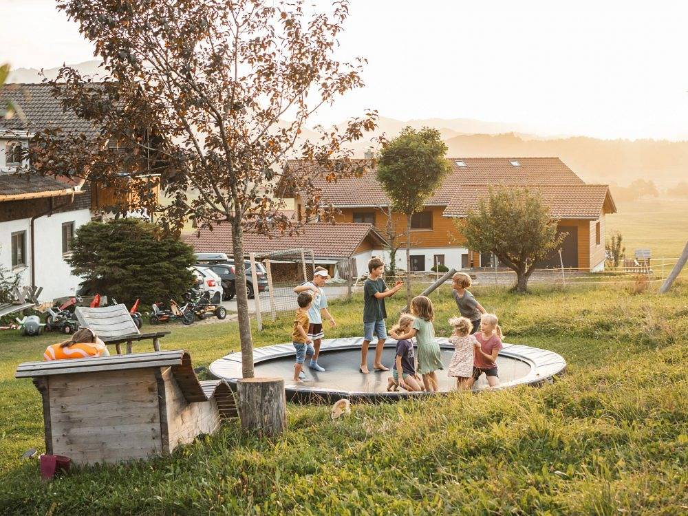 Ganze Ferienwohnung, Strublhof - Zum Bienen Sepp in Grünten, Rettenberg
