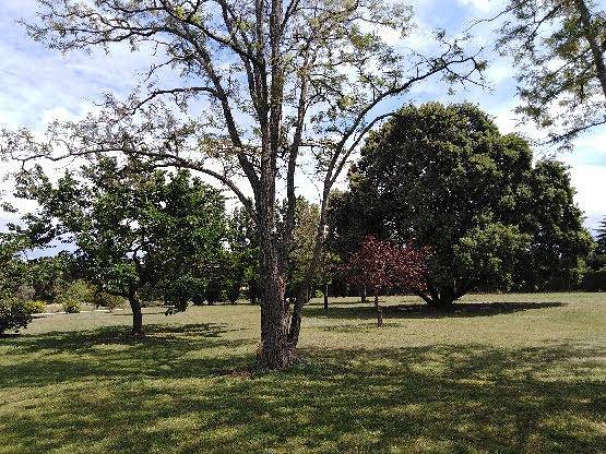 Gîte pour 4 personnes, avec terrasse ainsi que piscine et jardin, animaux acceptés dans le Vaucluse - 3