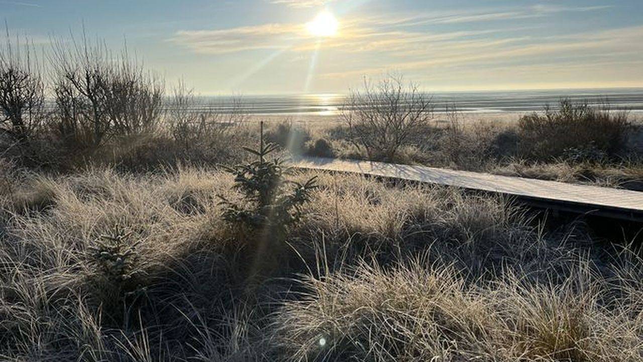 Ferienhaus für 3 Personen (105 m²) in Nieblum in Nieblum, Föhr