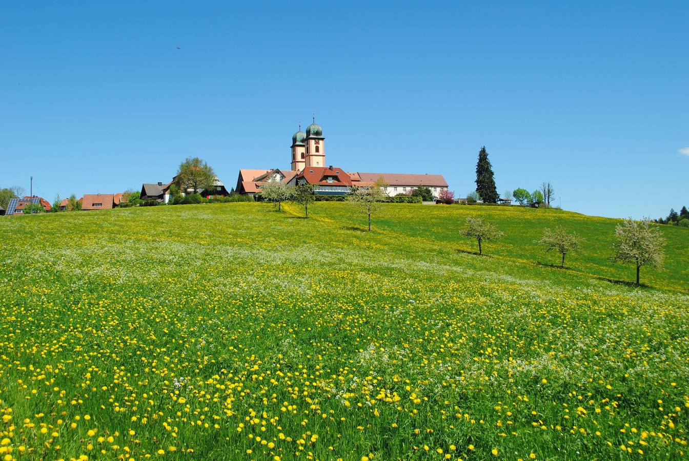 Ganze Wohnung, Ferienwohnung 'Feldbergblick' mit Privatterrasse, Balkon und Wlan in St. Märgen, Südschwarzwald