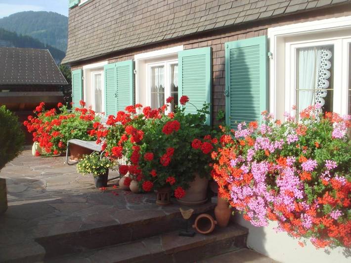 Gîte pour 4 personnes, avec jardin et vue à Bezau - 2