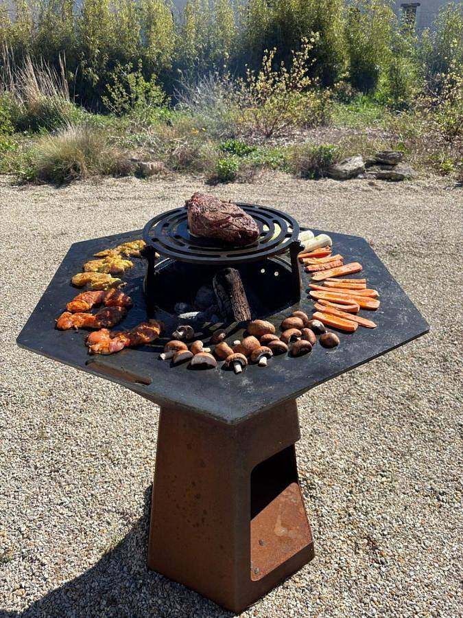 Location de vacances pour 10 personnes, avec jacuzzi ainsi que piscine et jardin, animaux acceptés à Bléré - 4
