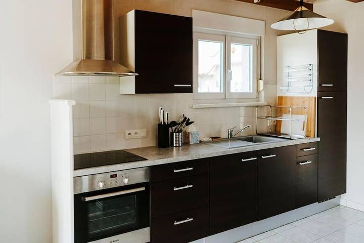 Location de vacances pour 6 personnes, avec jardin et terrasse, animaux acceptés à Obermodern-Zutzendorf - 4