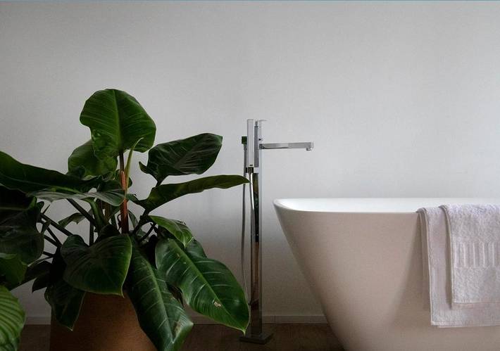 Chambre d’hôte pour 2 personnes, avec jardin et vue à Anvers - 3