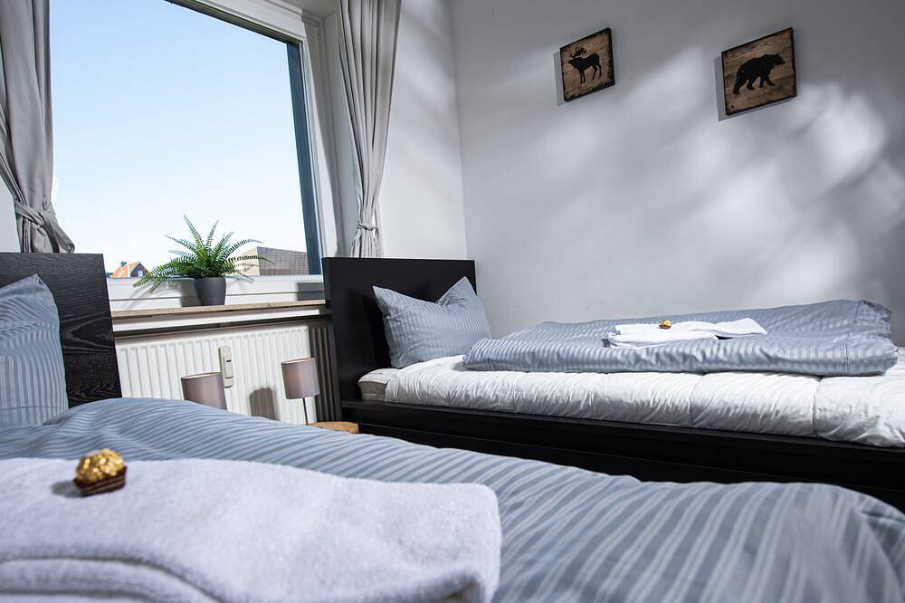 Ganze Wohnung, Modernes Apartment \"Harzglück\" mit Alpen-Chalet Charakter in Hahnenklee, Goslar