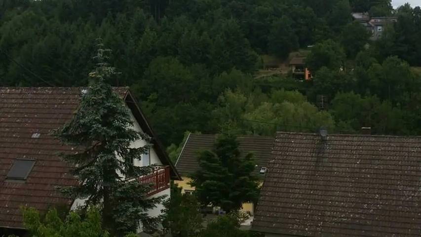 Ferienwohnung für 3 Personen, mit Terrasse und Garten in Birresborn - 3