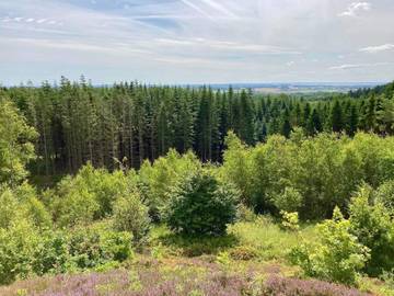 Ferienhaus für 6 Personen in Dänemark an der Nordsee, Bild 2