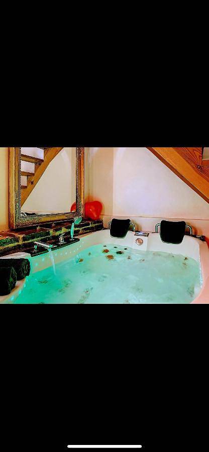 Gîte pour 2 personnes, avec vue dans Belberaud - 2