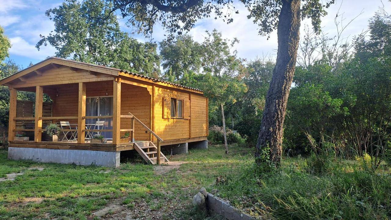 Om chalet in Prunelli-di-Fiumorbo, Parc naturel régional de Corse