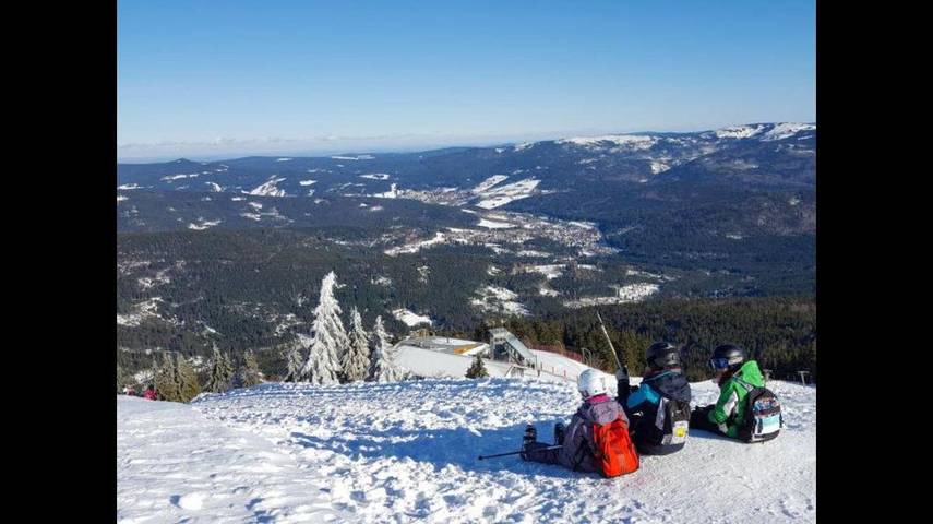 Ferienpark für 4 Personen, mit Balkon und Balkon/Terrasse sowie Terrasse und Garten im Bayerischer Wald - 4
