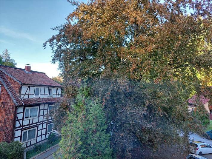 Ferienwohnung für 4 Personen, mit Ausblick in Bad Grund - 2