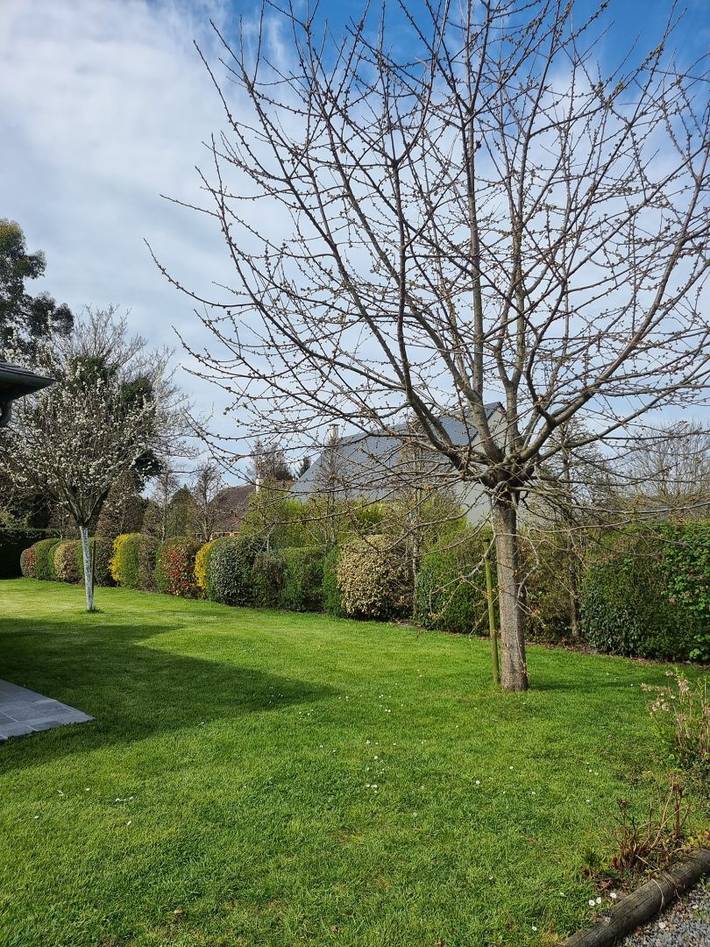 Gîte pour 4 personnes, avec terrasse et jardin, animaux acceptés à Ablon - 4
