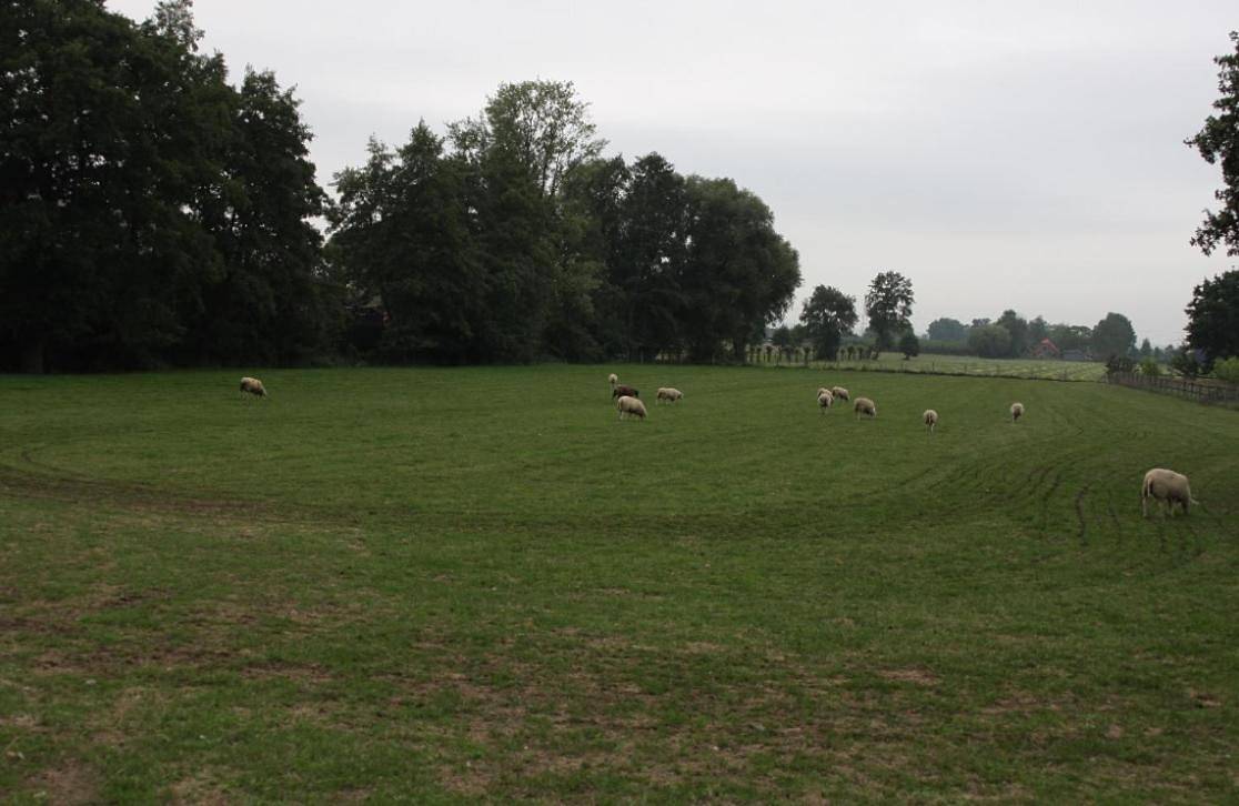 Geheel vakantieappartement, Neyengreve in Veluwe