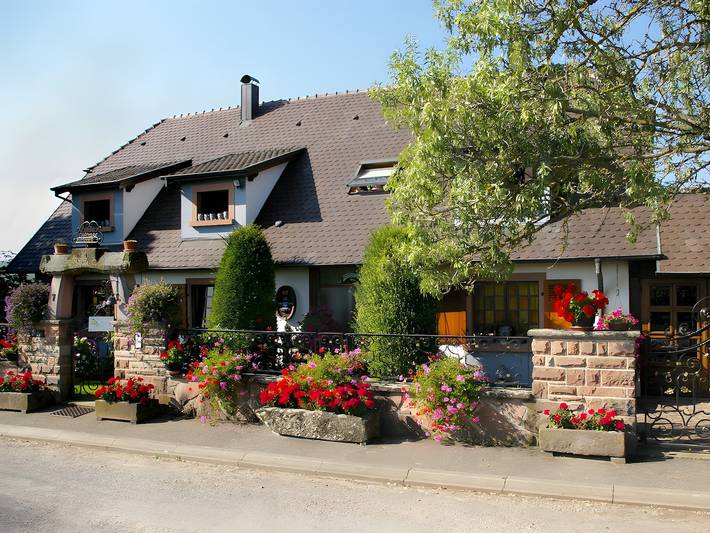 Gîte pour 2 personnes, avec jardin, animaux acceptés à Beblenheim - 2