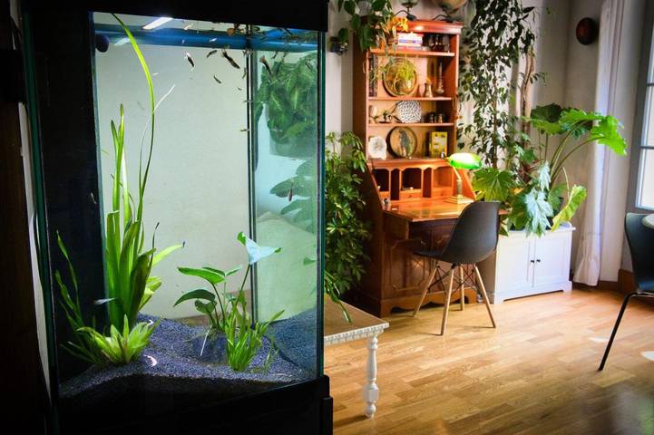 Gîte pour 2 personnes, avec balcon et vue dans Place aux Herbes - 4