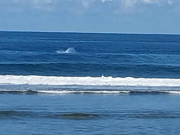 Location de vacances pour 2 personnes, avec vue et terrasse dans Grands-Bois - 4