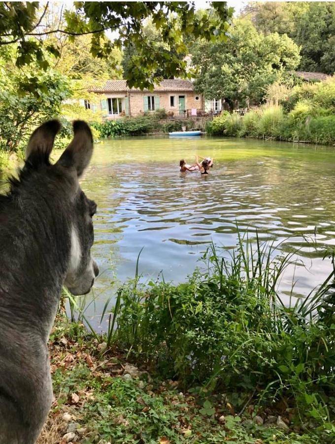 Location de vacances pour 10 personnes, avec vue ainsi que piscine et jardin à Villeneuvette - 3