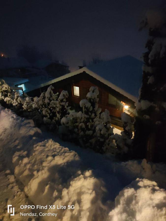 Alt'O Martinets 28, 1996 Basse-Nendaz in Nendaz, Walliser Alpen