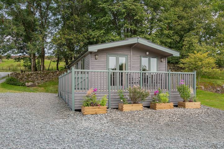 High Borrans, Spinney in Lake District
