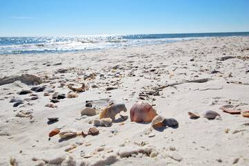 Vacation House for 6 Guests in Romar Beach, Orange Beach, Picture 4