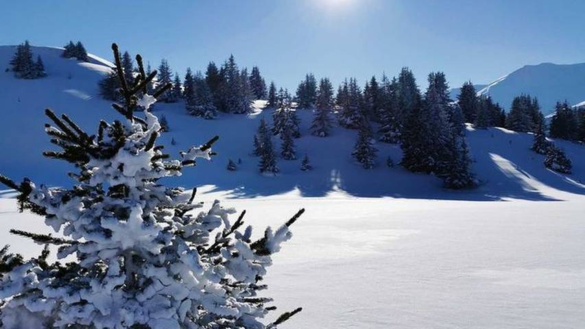 Ferienwohnung für 6 Personen, mit Balkon in Nauders - 3