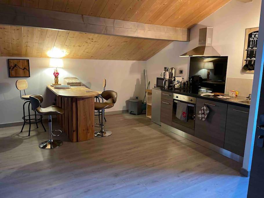 Appartement entier, Loft ravissant avec spa nordique in Enveitg, Parc naturel régional des Pyrénées catalanes