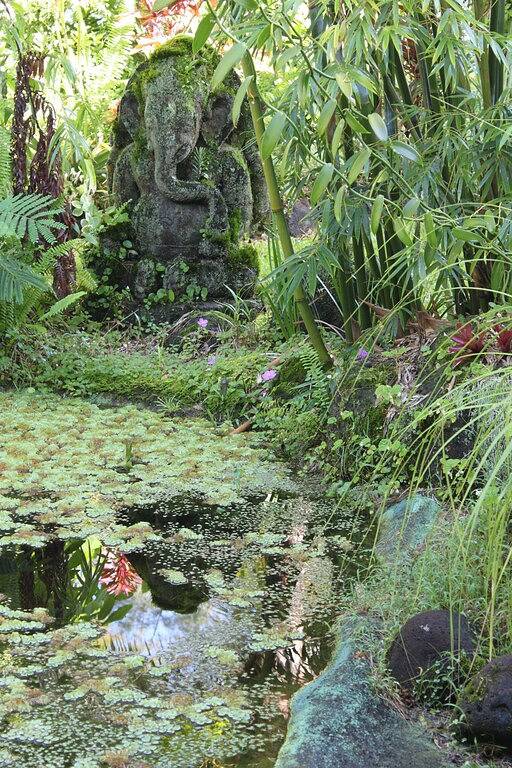 Ganze Wohnung, Regen-Waldhaus! in Hawaiian Paradise Park, East Puna