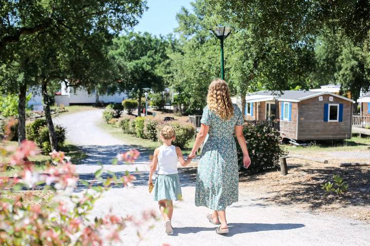 Gîte pour 5 personnes, avec terrasse et piscine dans Etang De Soustons - 4