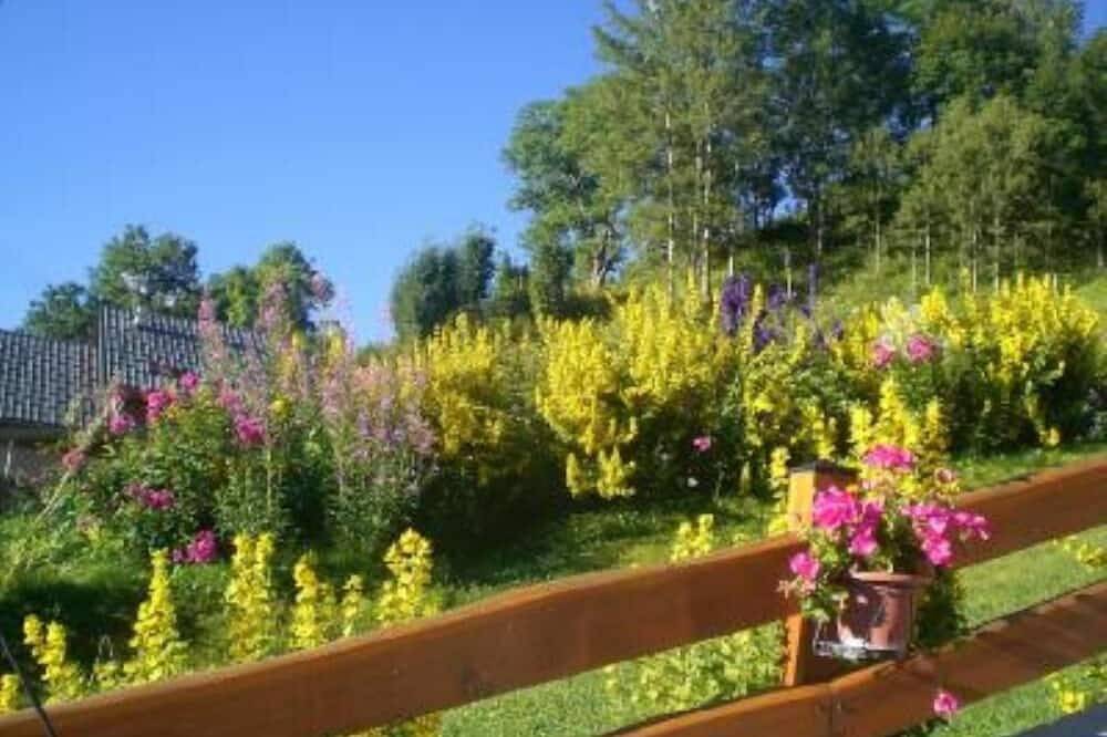 Entire apartment, Very nice 30 m² for 2/4 people, 3 stars in Valloire, Saint-Jean-de-Maurienne region