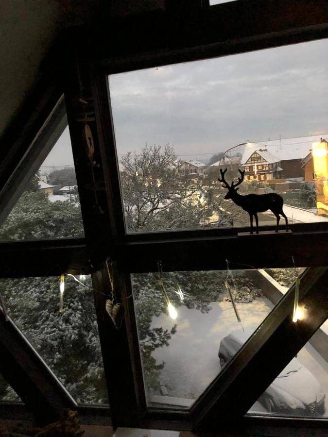 Gîte pour 4 personnes, avec terrasse et vue à Niederschaeffolsheim - 3