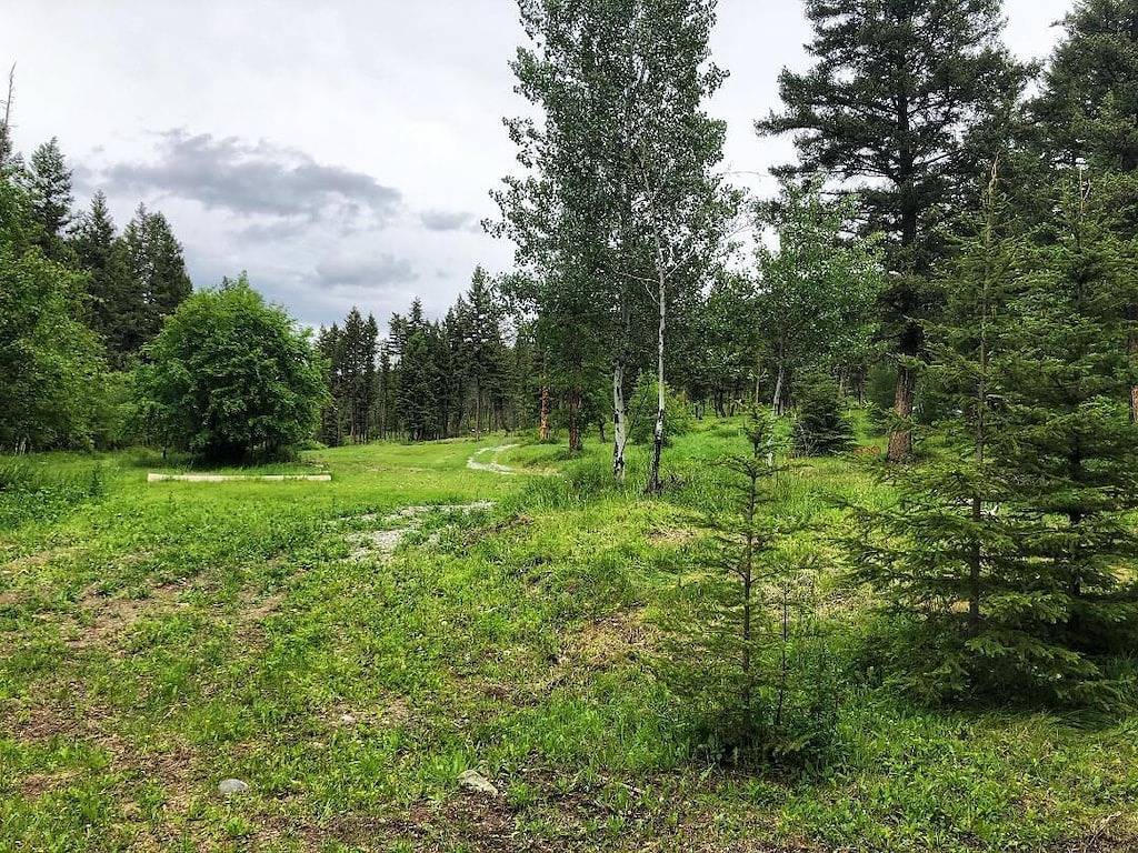 Camping für 3 Personen in Flathead Nationalwald, Montana