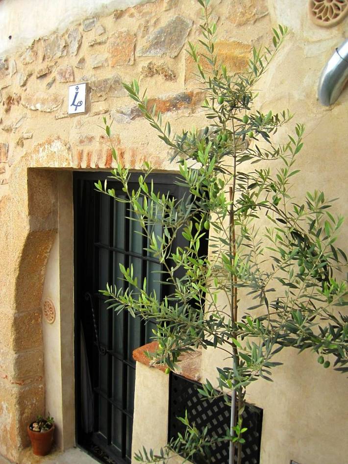 Escapadas de fin de semana para 4 personas, con Vistas en Cáceres
