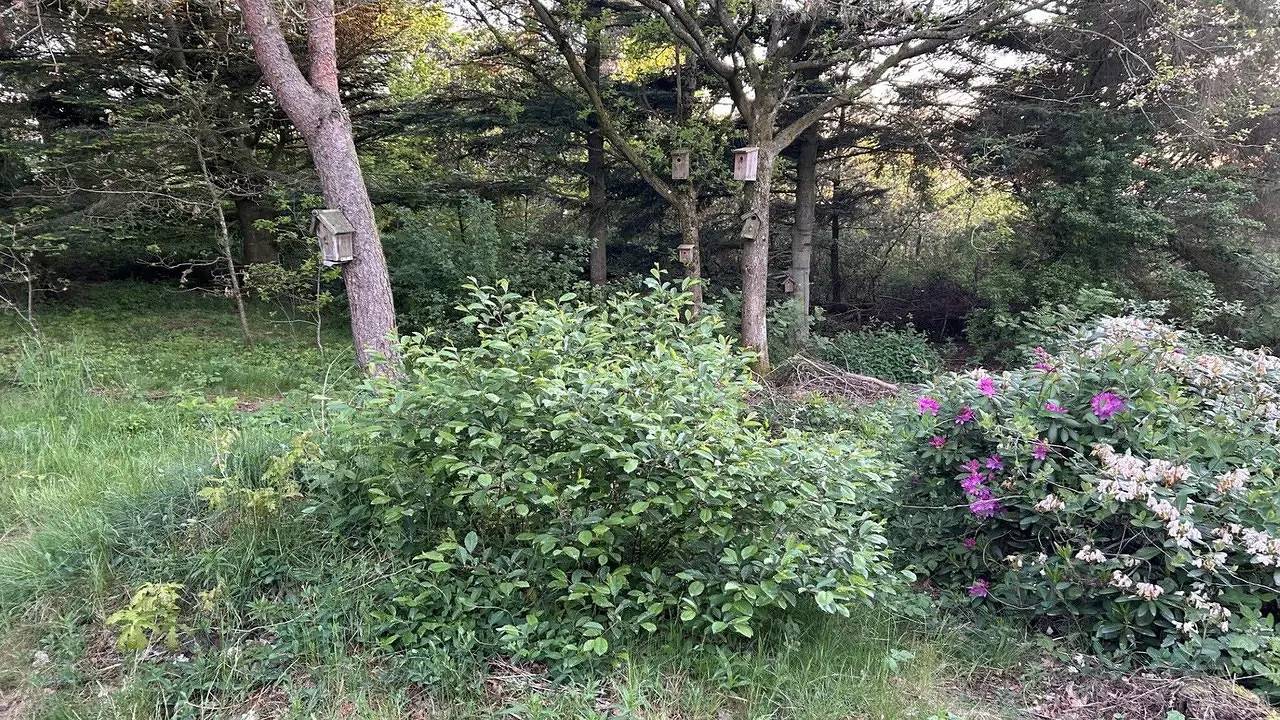 Feriehus for 6 personer med terrasse in Trend, Limfjord Nordjütland