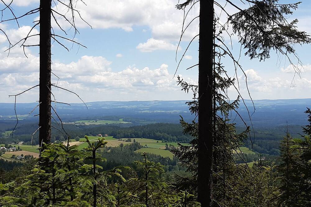 Ganze Wohnung, Ferienwohnung Fichtelgebirge, Oberfranken, Urlaub, Erholung , Bernsteinglück in Wunsiedel, Landkreis Wunsiedel im Fichtelgebirge