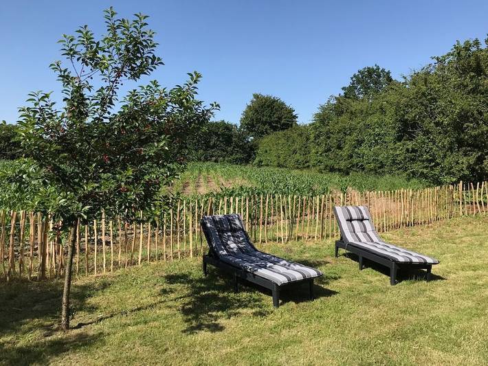 Ferienhaus für 4 Personen, mit Garten in Dollerup - 2
