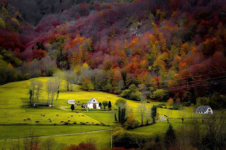 Holiday home for 2 people, with garden - 1