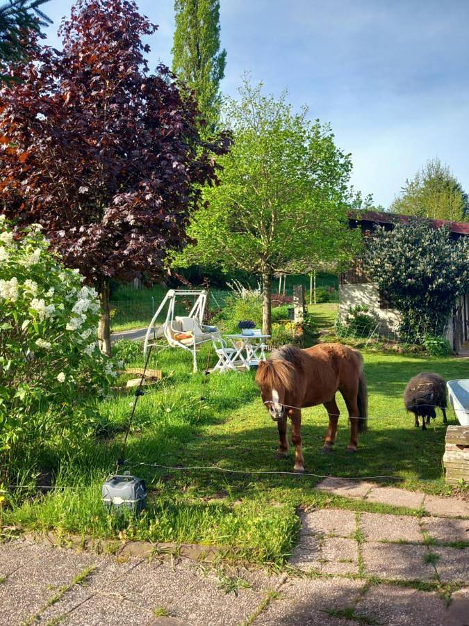 Gîte pour 3 personnes, avec Terrasse ainsi que Jardin et Vue à Puberg