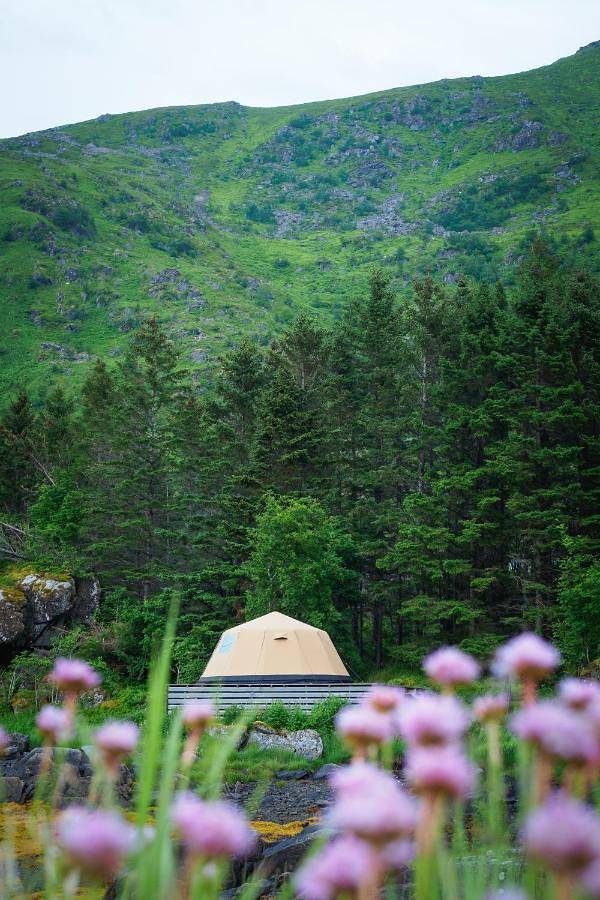 Flo Lofoten nature escape in Vestvågøy
