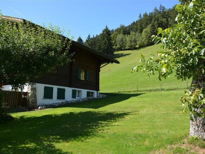 Ganze Wohnung, Rehweid (Eg) in Saanenmöser, Saanen