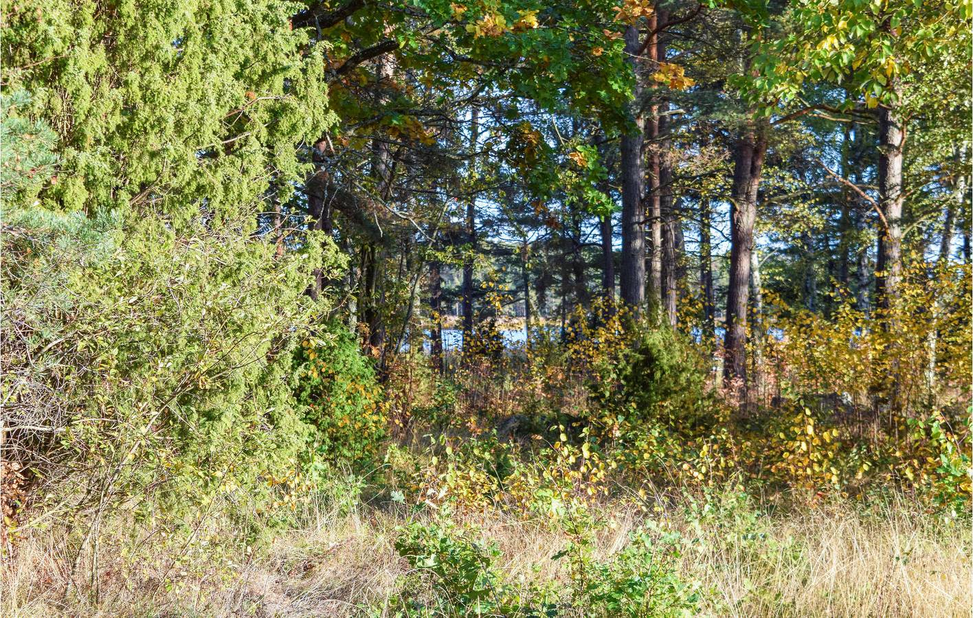 Ferienhaus für 6 Personen mit Garten in Oknö, Mönsterås und Umgebung