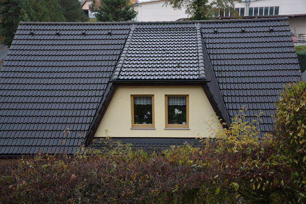 Ganze Wohnung, Wohnen im Grünen in Freital, Sächsisches Elbland