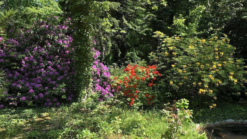 Ferienhaus für 4 Personen, mit Garten in Serengeti Park (Hodenhagen) - 4